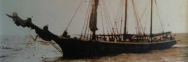 Strynoe Profile Banner