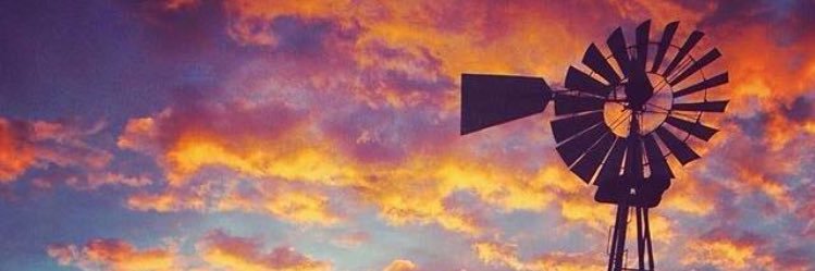 dontdillydally's profile banner image