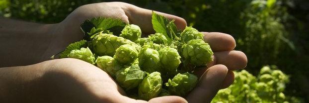 oregon_beers's profile banner image