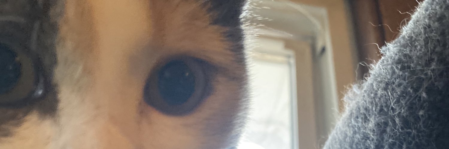 Ginger Jentzen banner