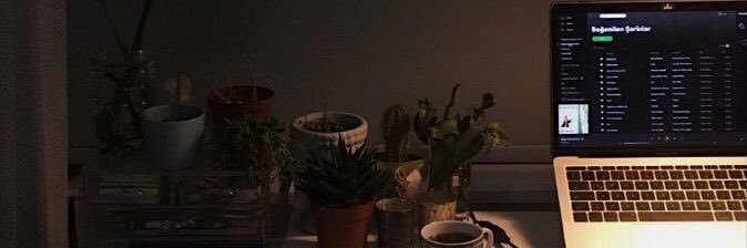 its_alaai's profile banner image