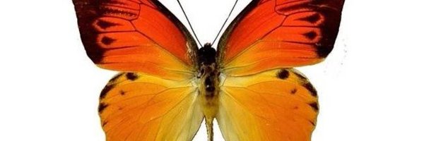 k_k0805 Profile Banner