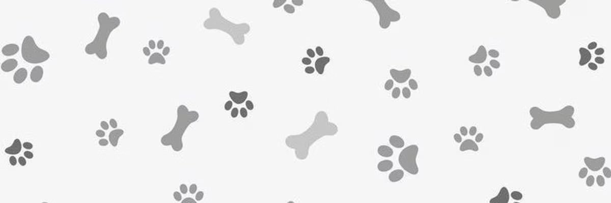 gauze。 #1 iowa fan banner