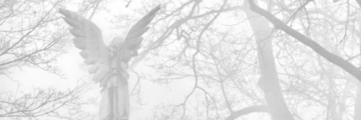 僵尸男 banner