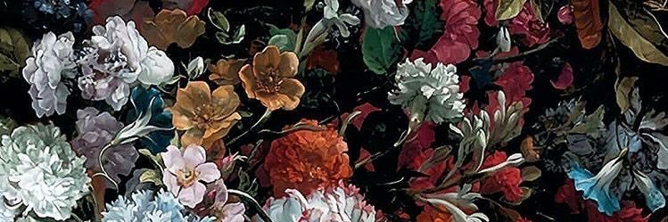 kkagur0x's profile banner image