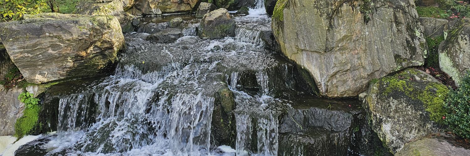 Padja The Penguin banner