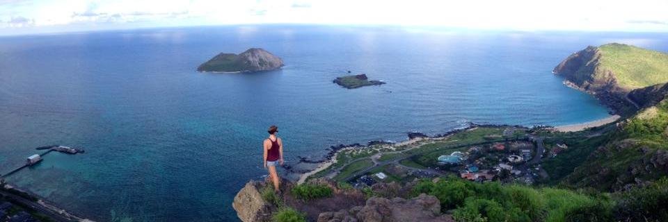 Christine Strobel 🌺 banner