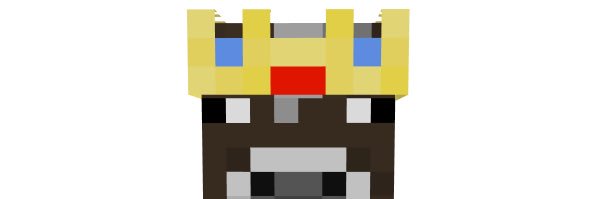 Searoof banner