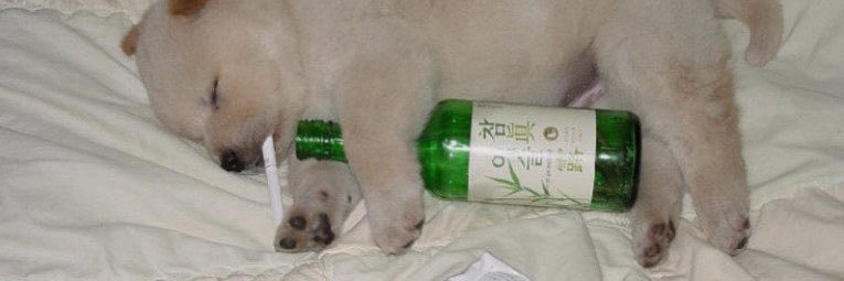 andrew 🍹's banner