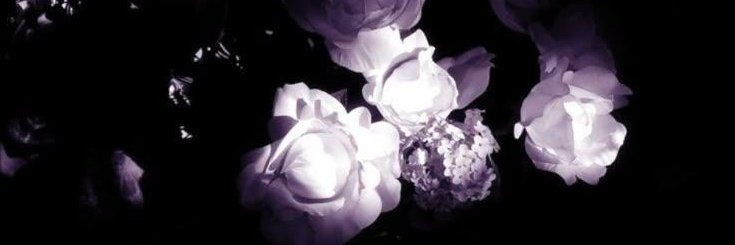 soph.𖥔 ݁ ˖ banner