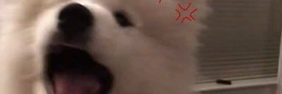 .⋆𝜗𝜚.†⋆ banner