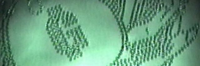 Goth Money Records® banner