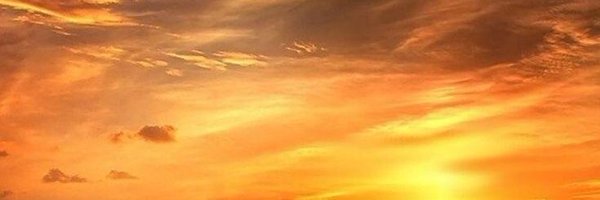BarbeForFreedom Profile Banner