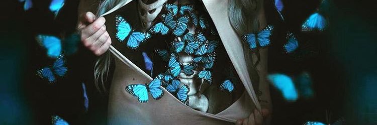 eulauraleme's profile banner image