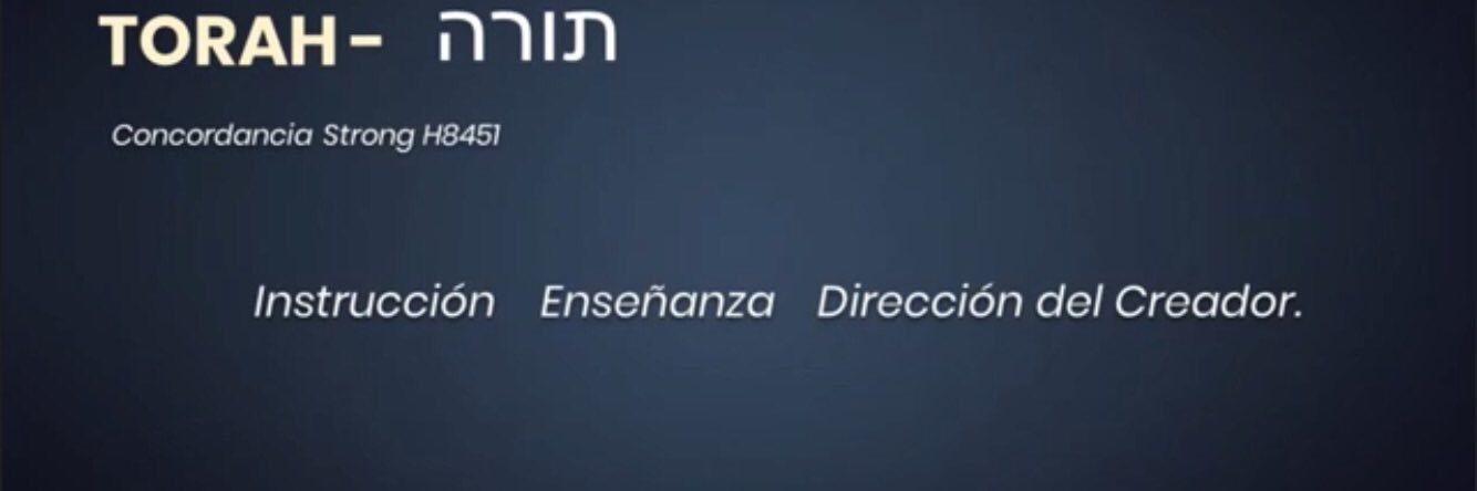 daniel_mp's profile banner image