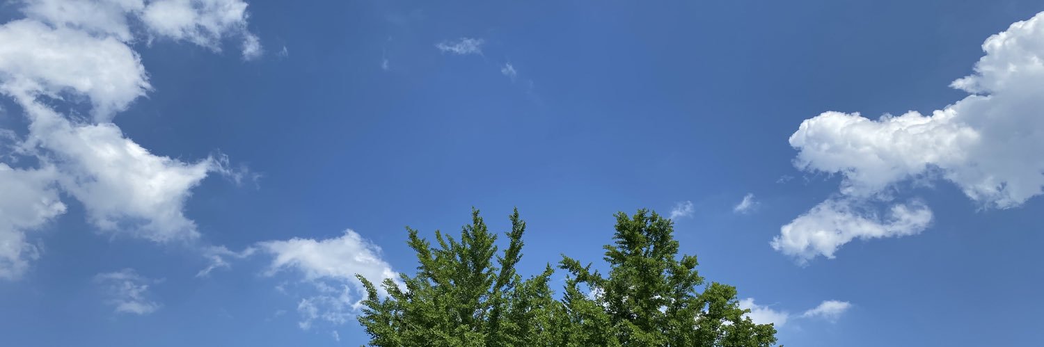 david4theworld's profile banner image