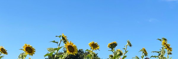 gree_agree Profile Banner