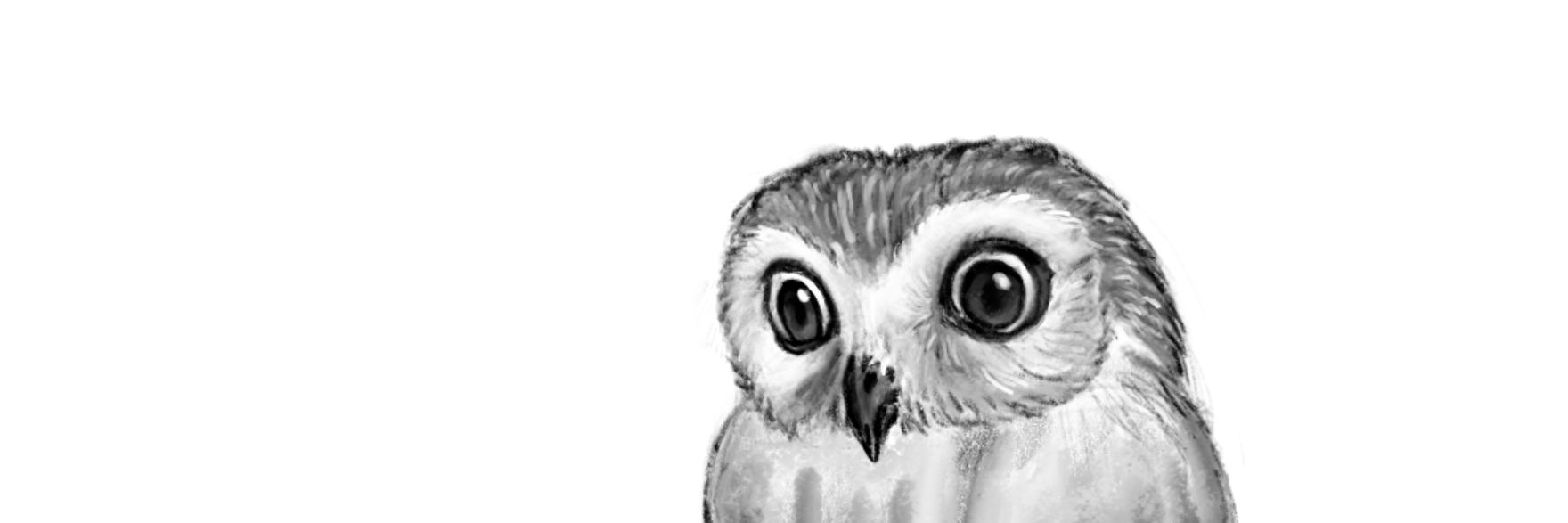 linuxwolf's profile banner image
