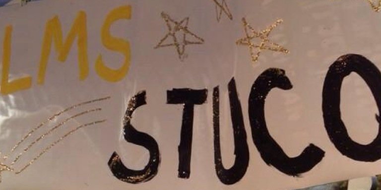 LMS_StuCo banner
