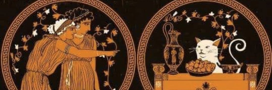 brynnie_bee's profile banner image