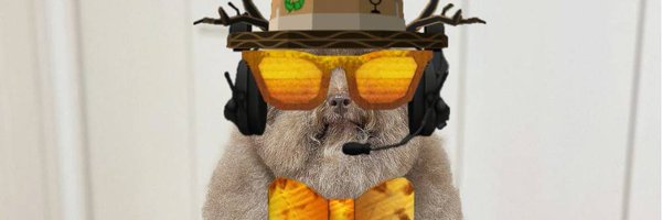 BobbVXUGC Profile Banner