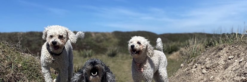 Vicky Enriquez banner