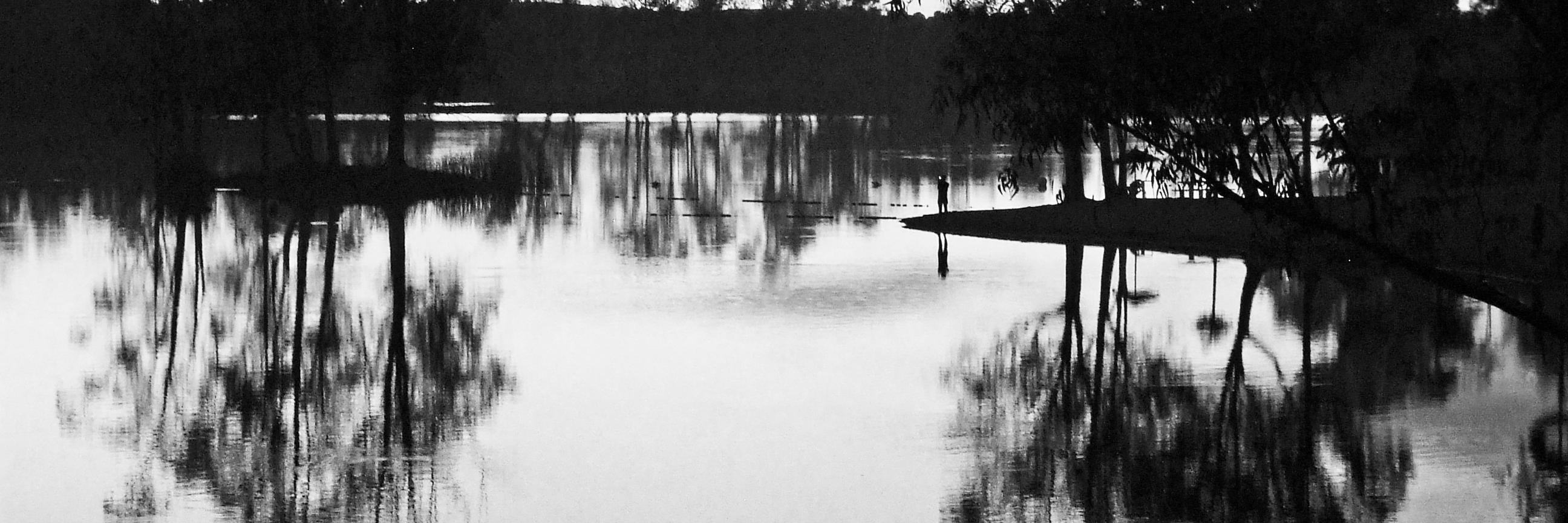 Susana Coelho banner