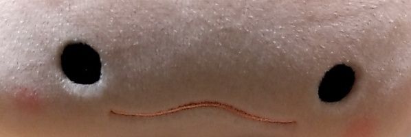 セイ💚 banner