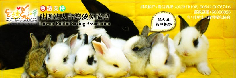 台灣愛兔協會 banner