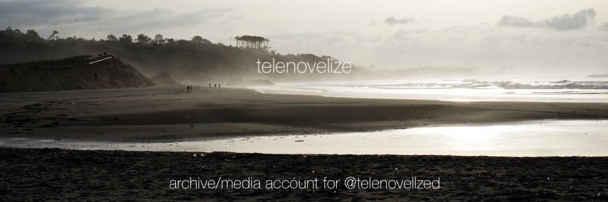 telenovelize's profile banner image