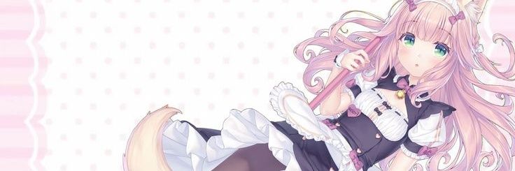 bonnie˚₊‧꒰ა ♡ ໒꒱ ‧₊˚ banner