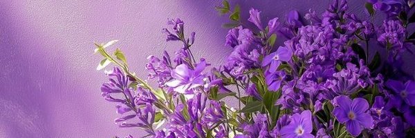 __mu__r Profile Banner