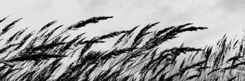 hmarchart ❄🔞 banner