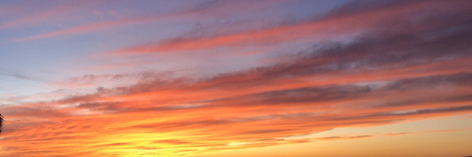 sofybarba's profile banner image