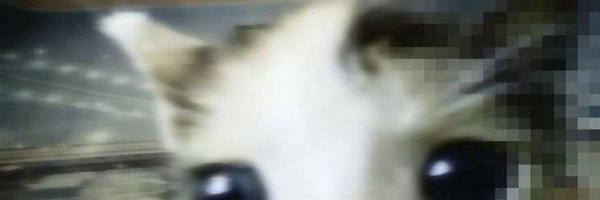 ihrtlester Profile Banner