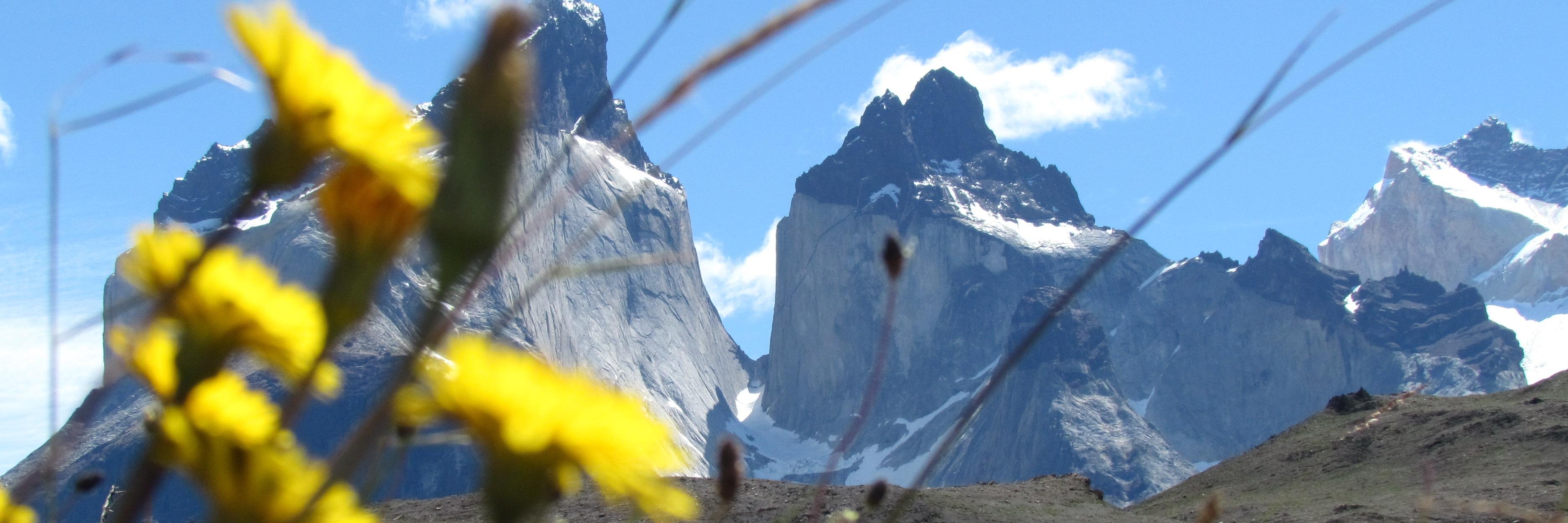 _ManosFrias_'s profile banner image