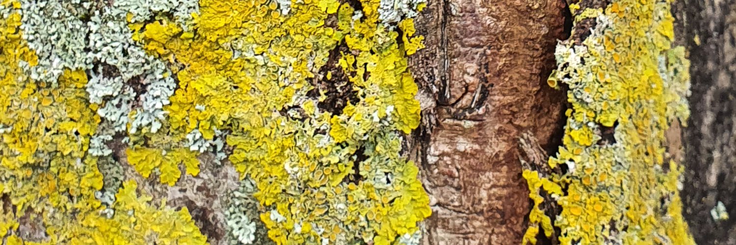 thefrenchone's profile banner image