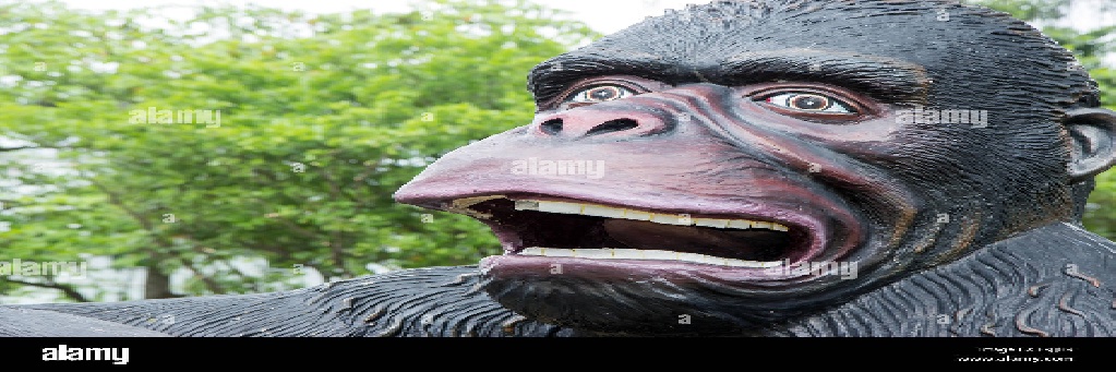 wankingmonkey62's profile banner image