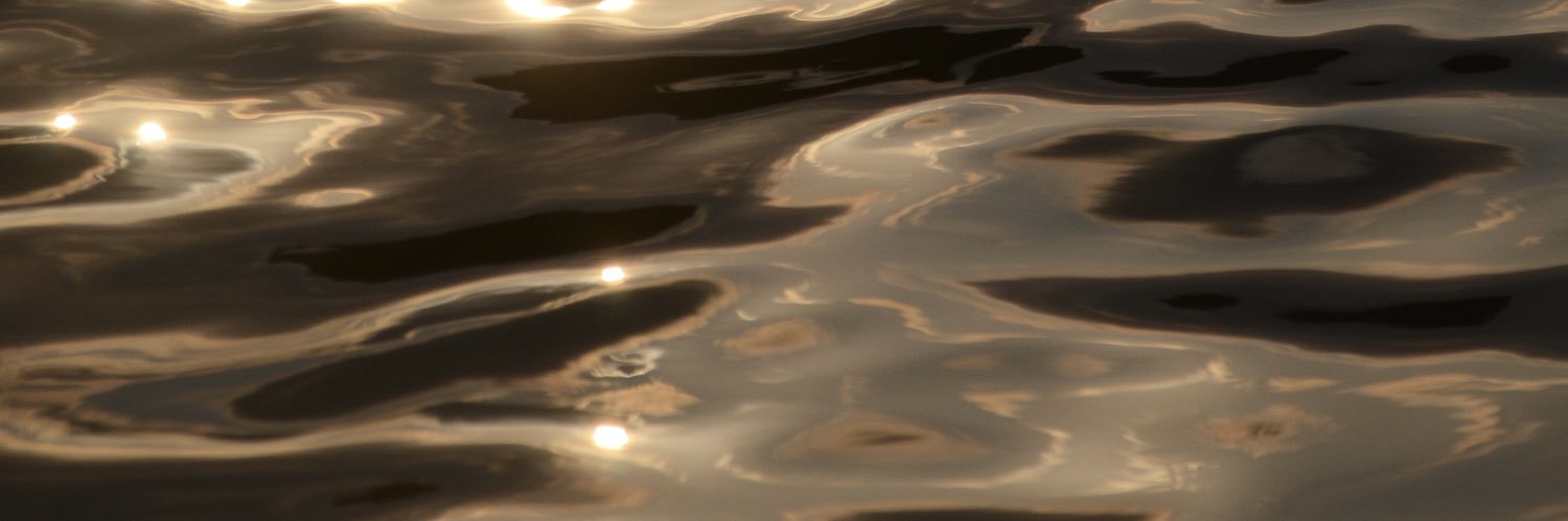 feili_Miao's profile banner image