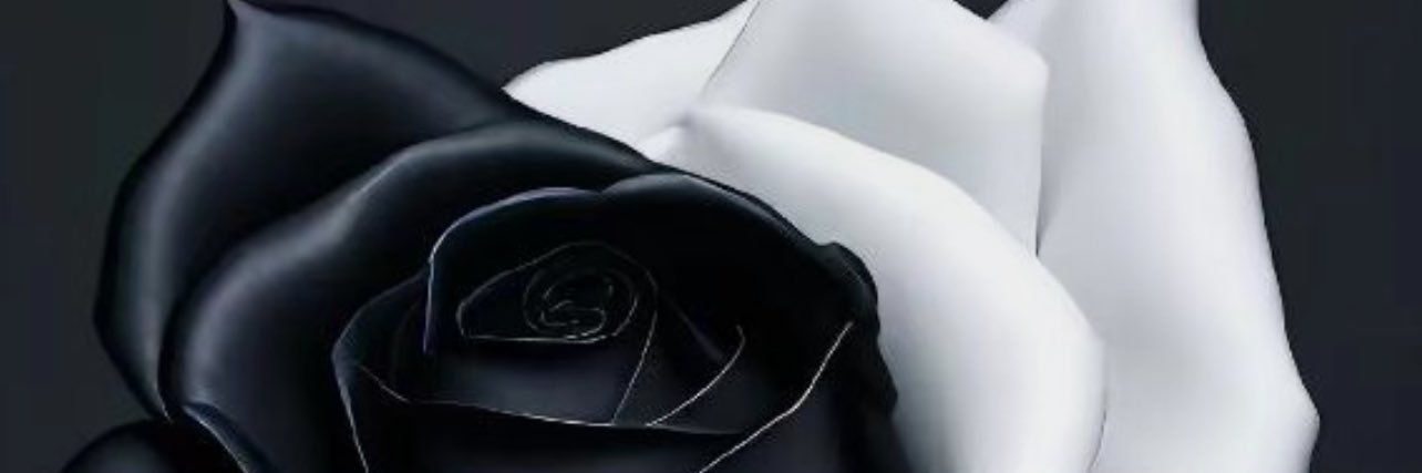 Xior_fluid banner