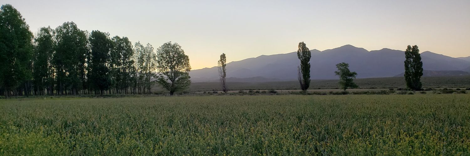 thomaslisandro's profile banner image