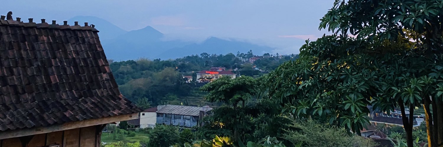 dfdysa banner