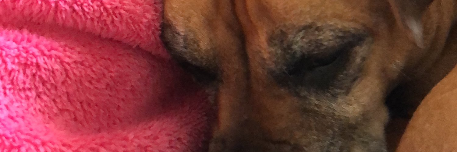 Tulin93's profile banner image
