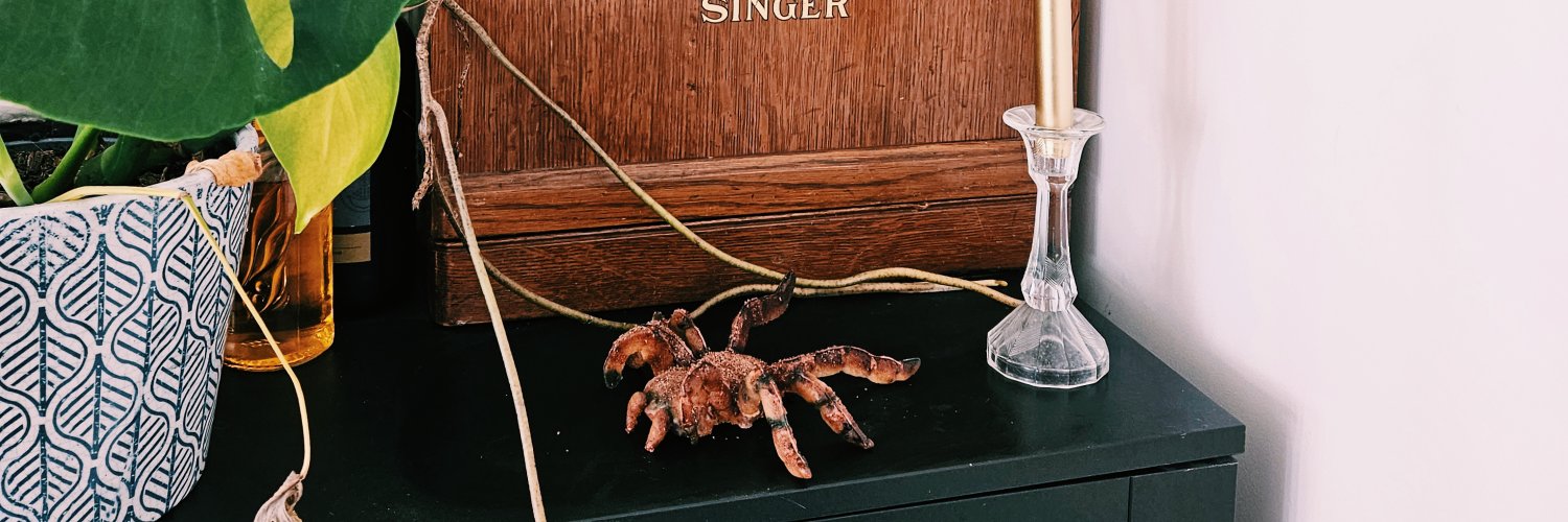 Becci (she/her) banner