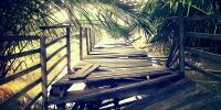 Retno banner