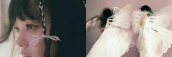 Dolce 🌼 banner