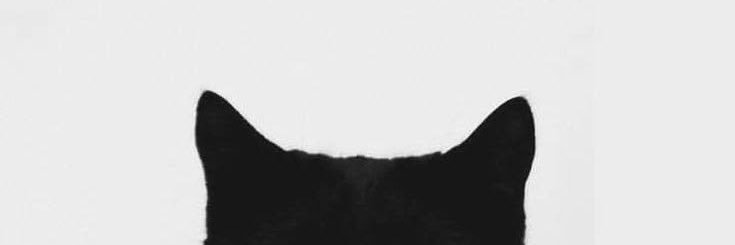 V✩ banner