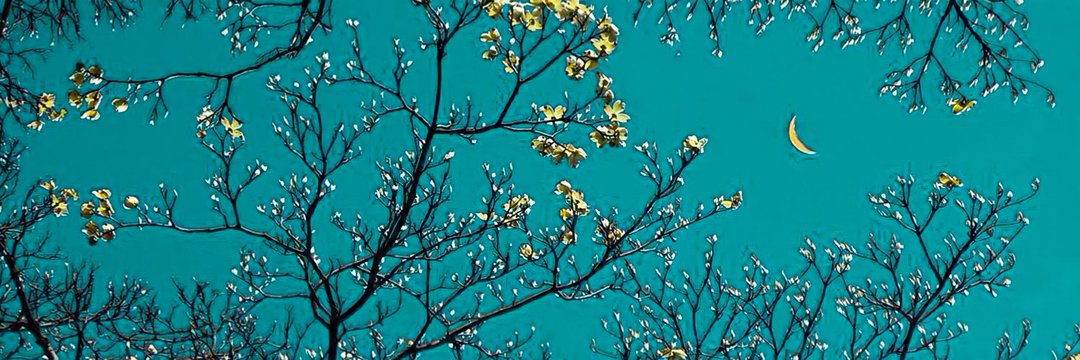 sorr99249's profile banner image