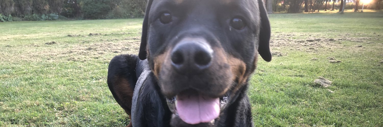jibbs3's profile banner image