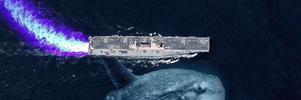 sunfishposting Profile Banner